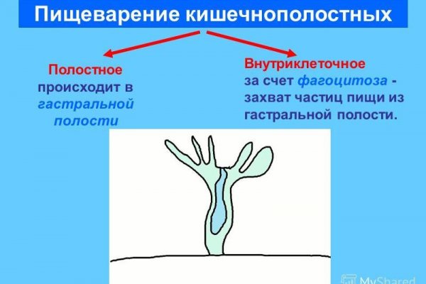 Как пополнить баланс на кракене