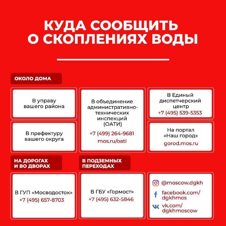 Кракен 12 сайт